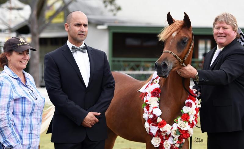 Winning Supreme SE exhibit in 2015.